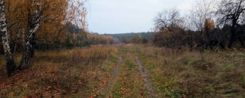 
            Фотография Полянок