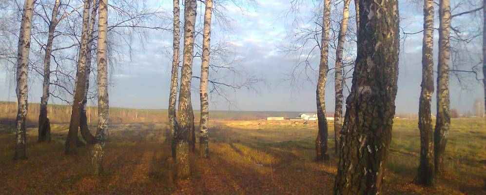 Фотография Дашино