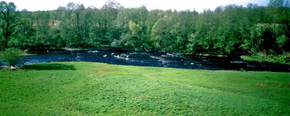 
            Фотография Костелево