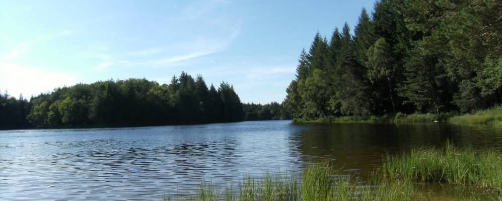 
            Фотография Клергу