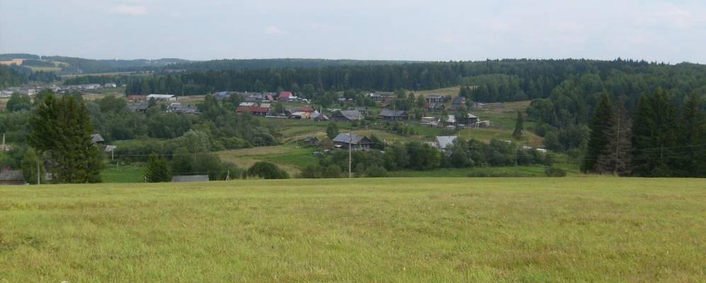 
            Фотография Панкрашей