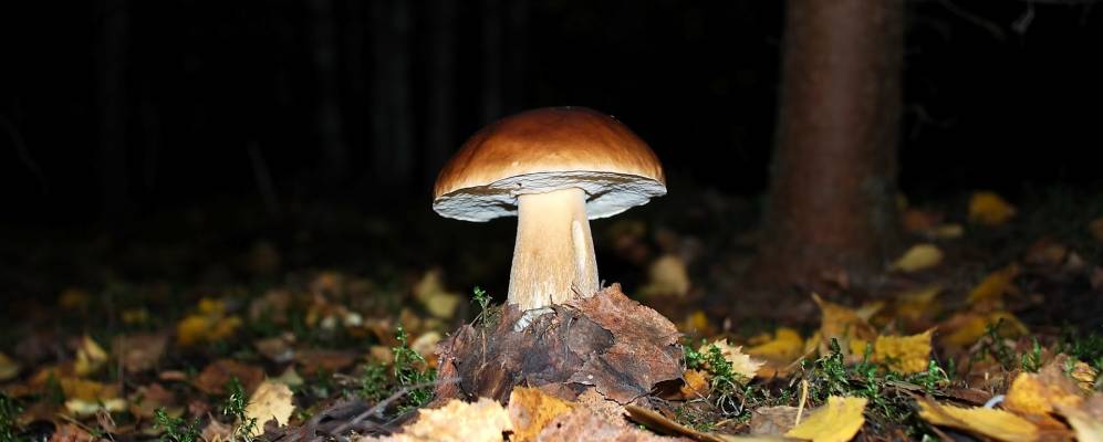 Фотография Малому Болгово