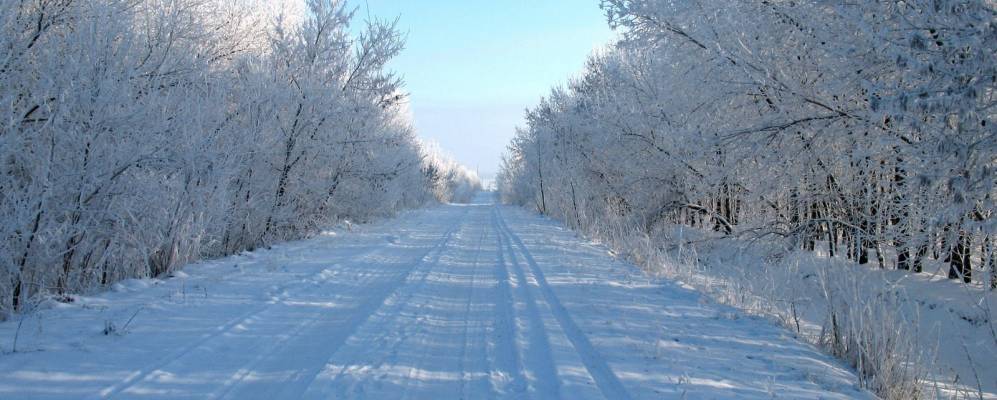 
            Фотография Поселка Совхоза Большевик