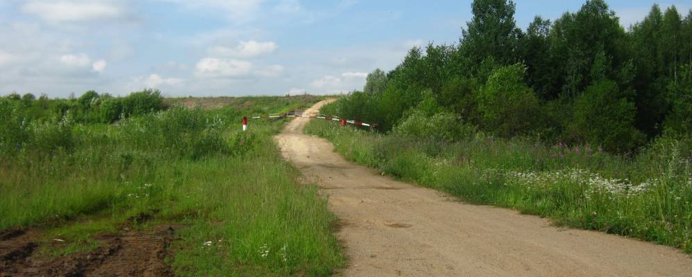 Фотография Счастливцевых