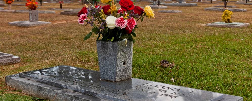 
            Фотография Свартза