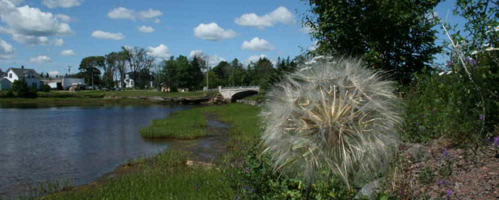 Фотография Порта Элджина