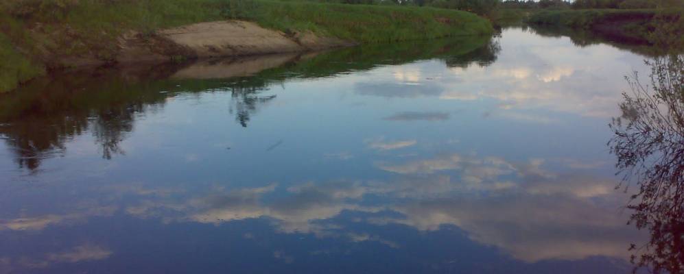 Фотография Бердничихи