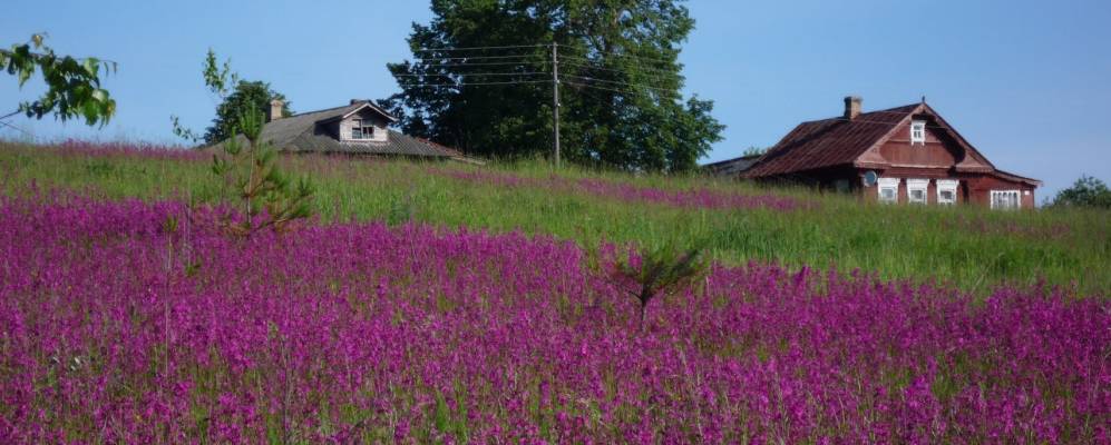 Фотография Борисцево