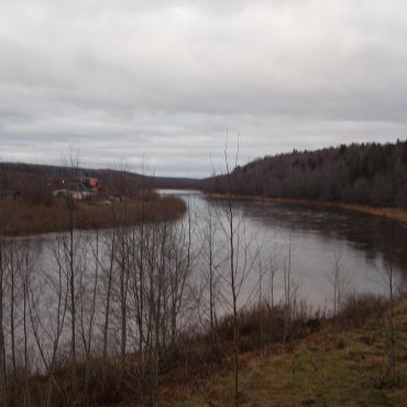 Малые Дубовицы