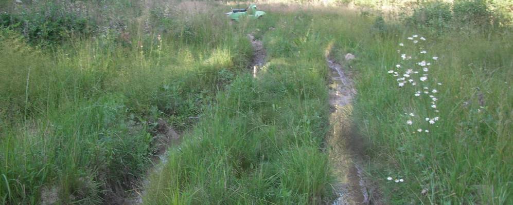 
            Фотография Тузеево