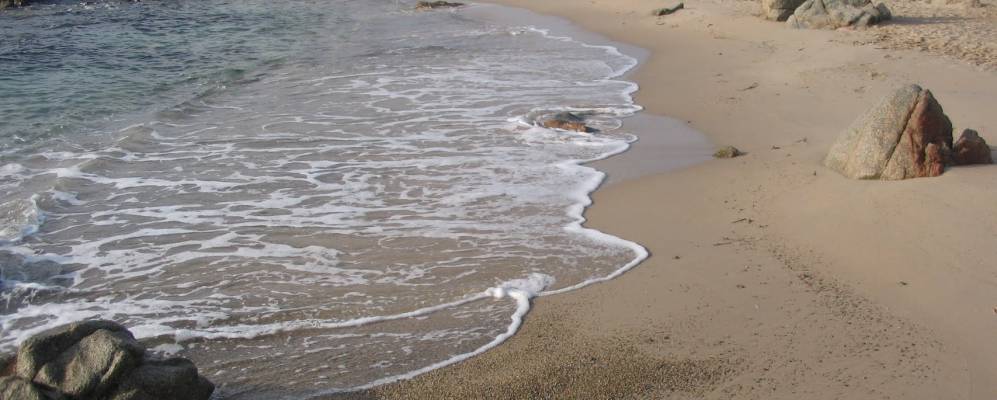 
            Фотография Пинареллу