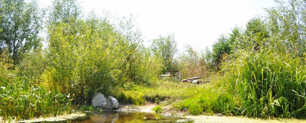 
            Фотография Андрушки