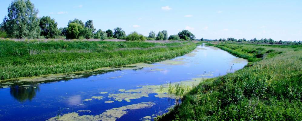 
            Фотография Иржавца