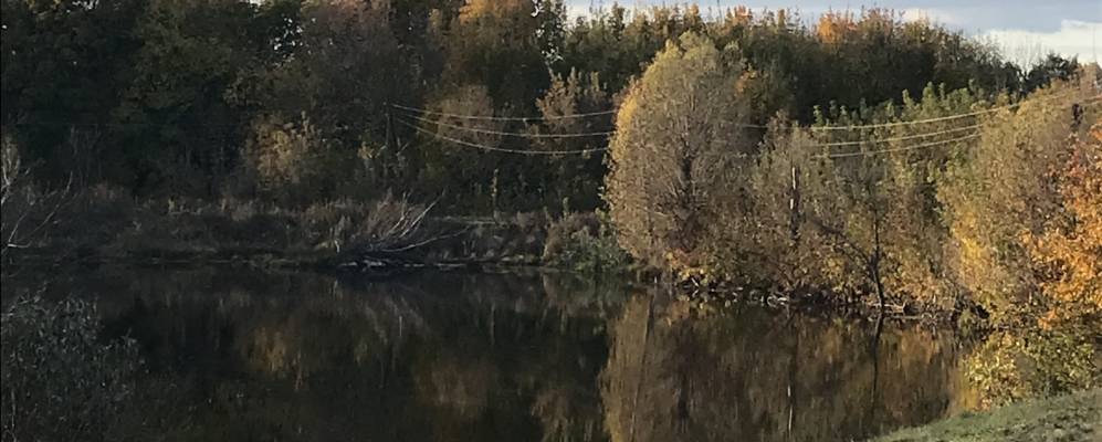 Фотография Петровки