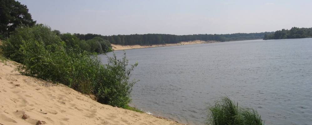 
            Фотография Нагорного