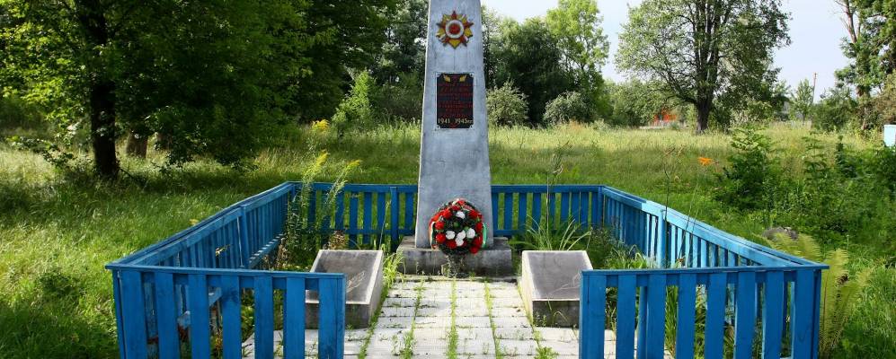 
            Фотография Березы