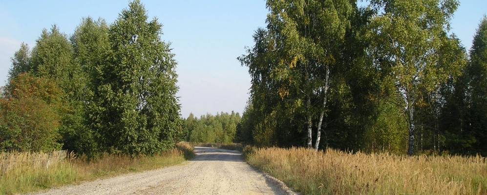 Фотография Соломино