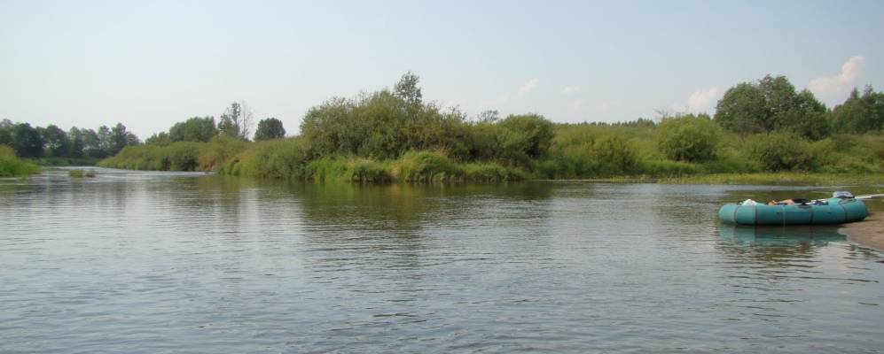 Фотография Быстри