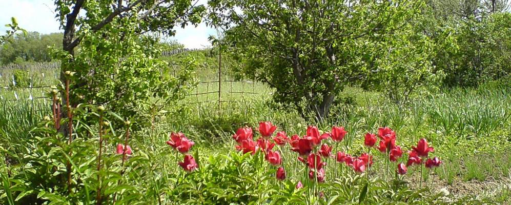 
            Фотография Нового Атлашево