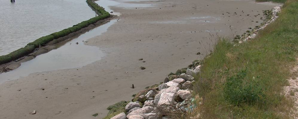 
            Фотография Тессеры