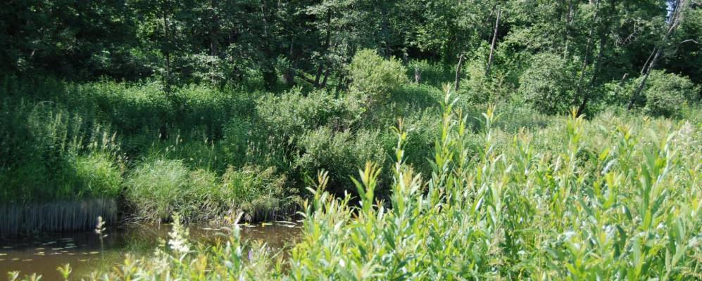 Фотография Ильино