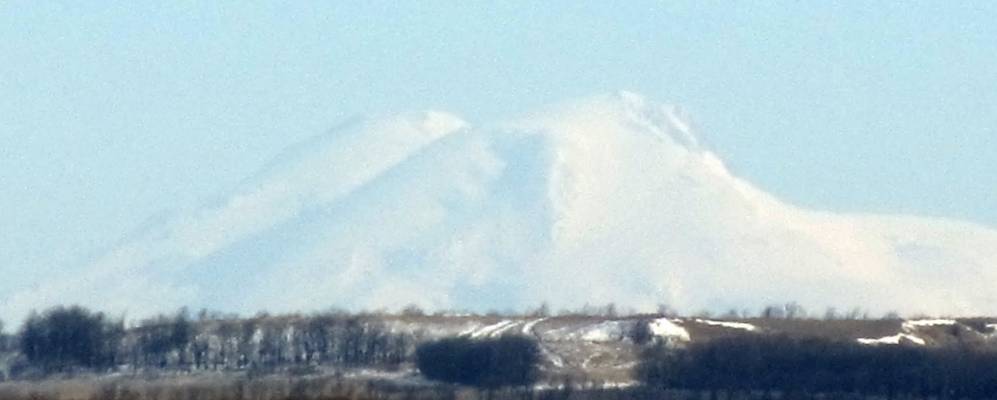 
            Фотография Гусаровского