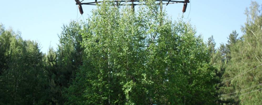 
            Фотография Марково