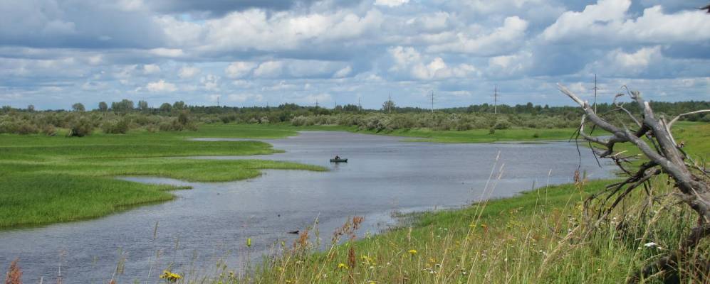 
            Фотография Слуды