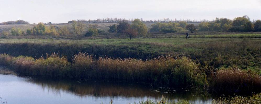 
            Фотография Новокардаильского