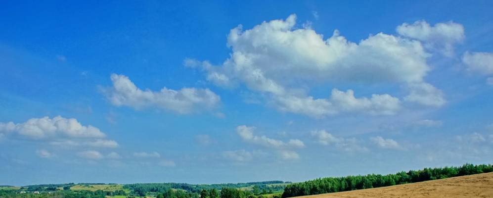 Фотография деревни Клюковичи