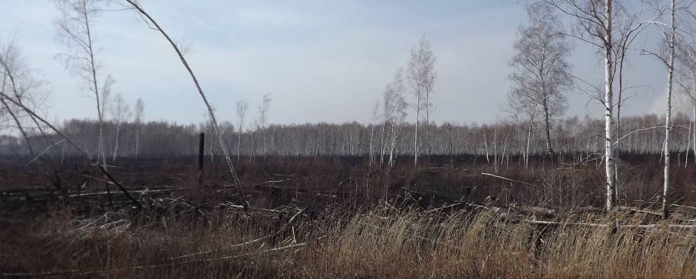 
            Фотография Чайкино