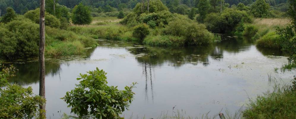 
            Фотография Ходынки