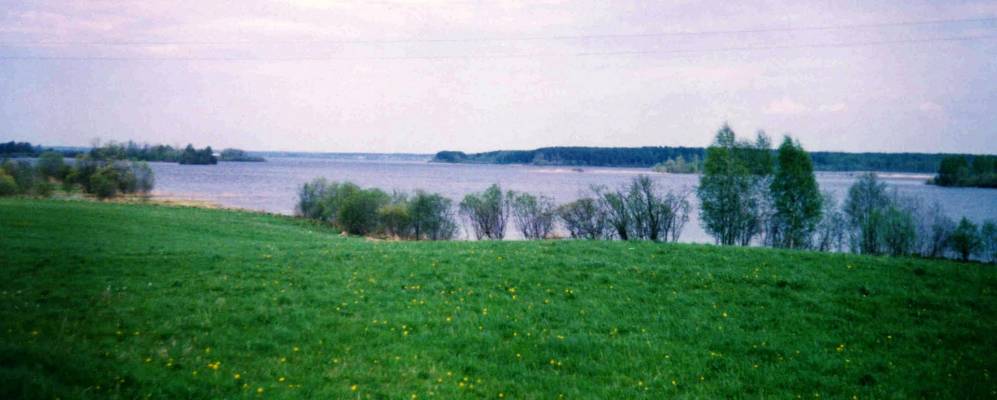 
            Фотография Полынино