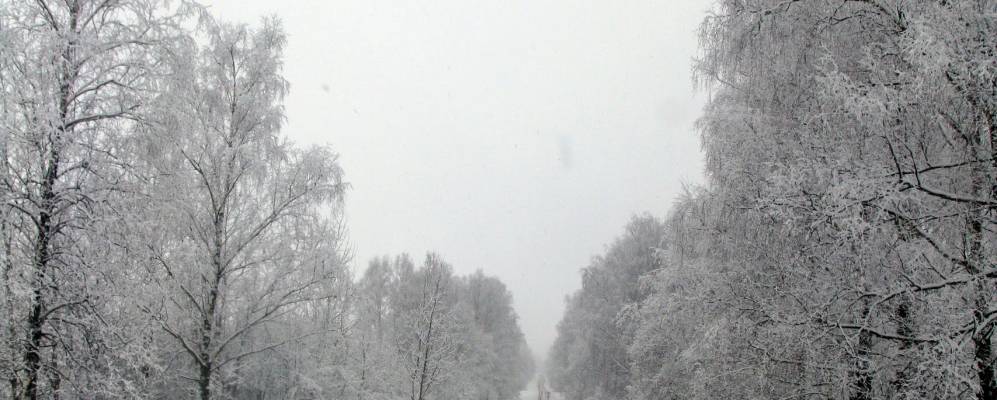 
            Фотография Иваньково