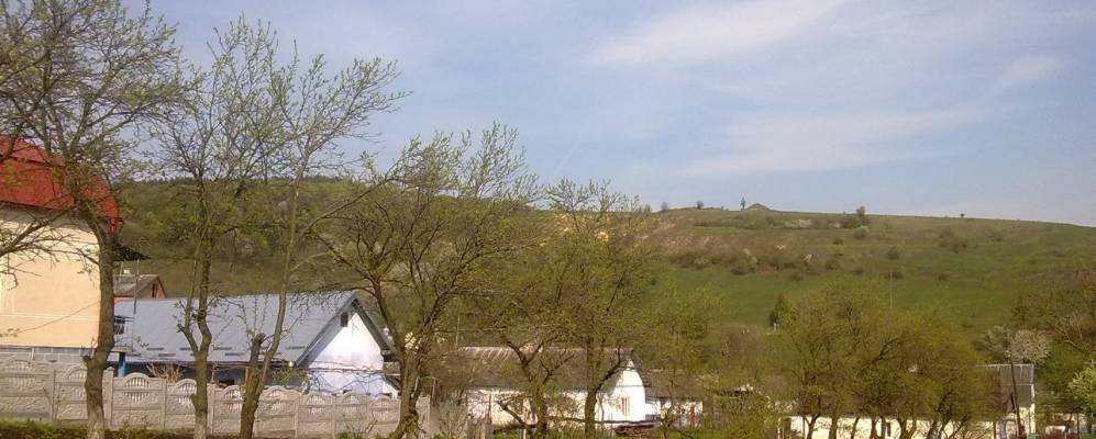 
            Фотография Подвиньего