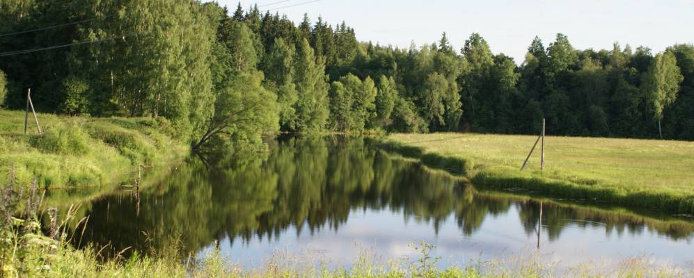 
            Фотография поселка Горки