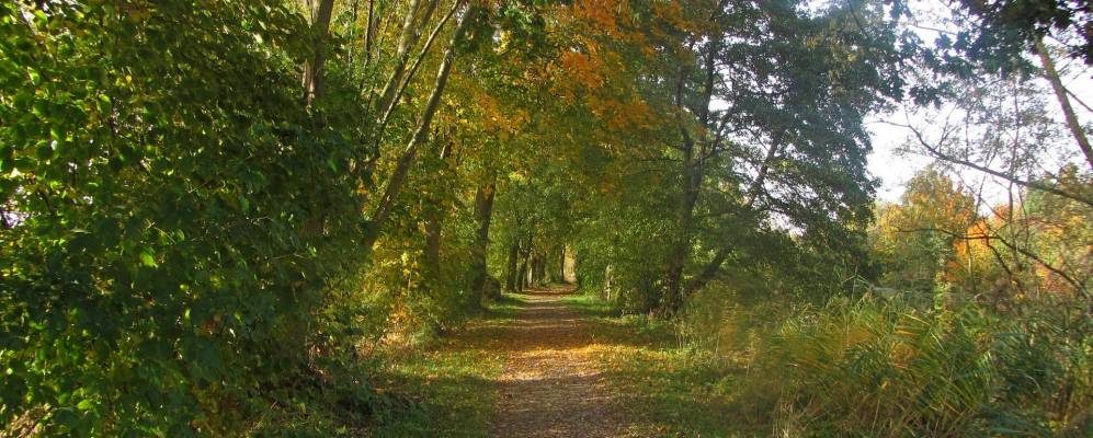 
            Фотография Ляйферде