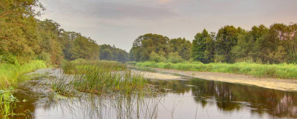 Фотография Волково