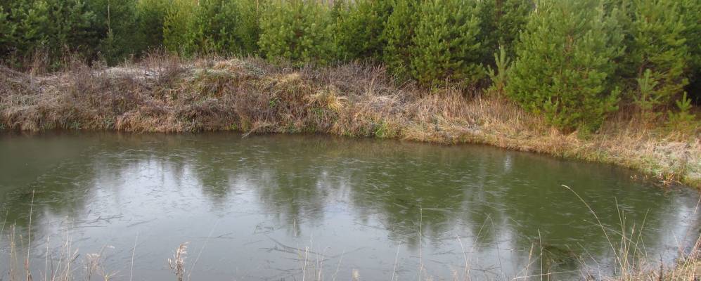 Фотография Глушонок