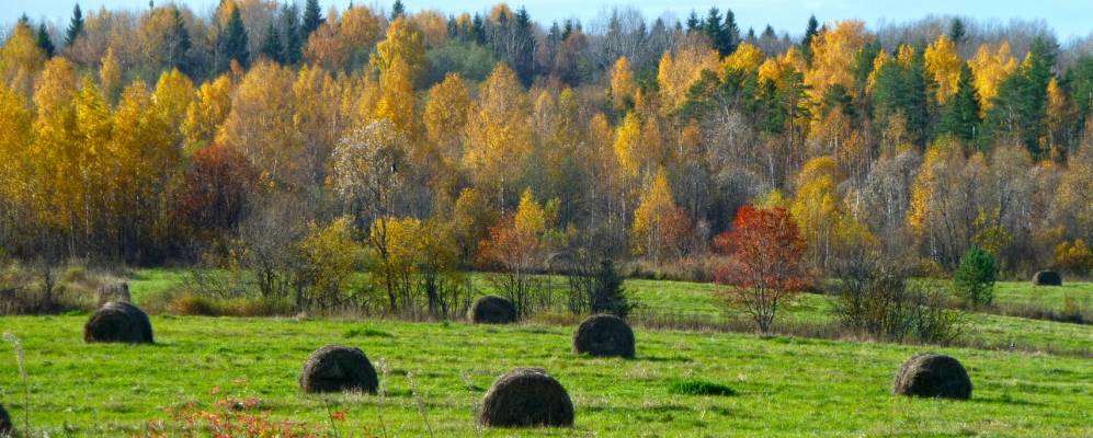 
            Фотография Окулово