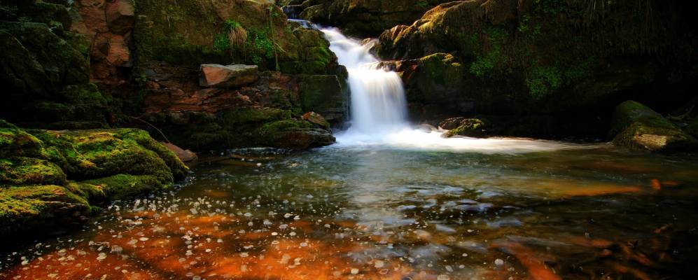 
            Фотография Линмута