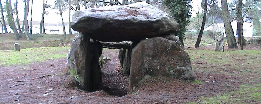 
            Фотография Нуармутье-ан-Лиль