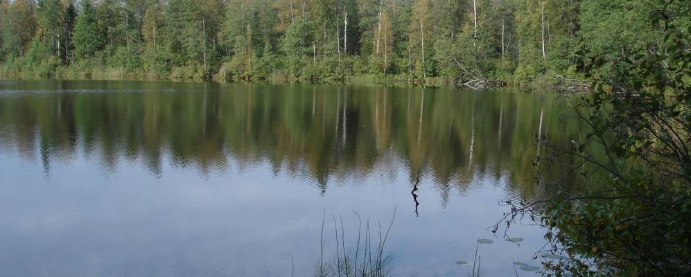 Фотография Карманово