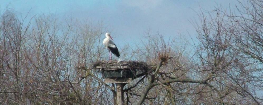 
            Фотография деревни Дубники