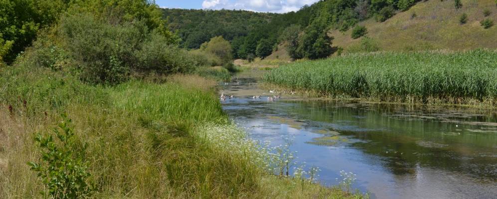 
            Фотография Окопа