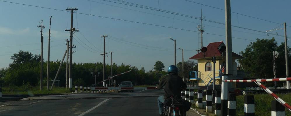 
            Фотография Подгорного