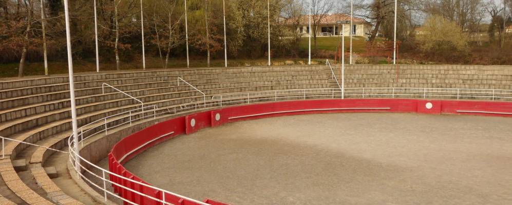 
            Фотография Пуйона