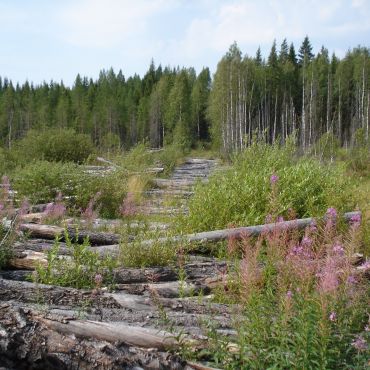 Клюшина Гора