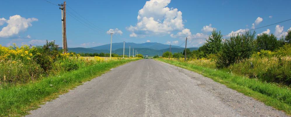 
            Фотография Ромочевицы