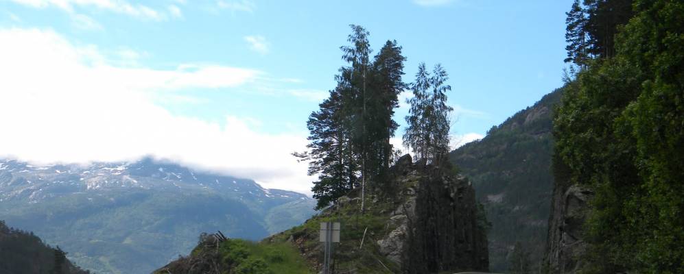 
            Фотография Несфлатена